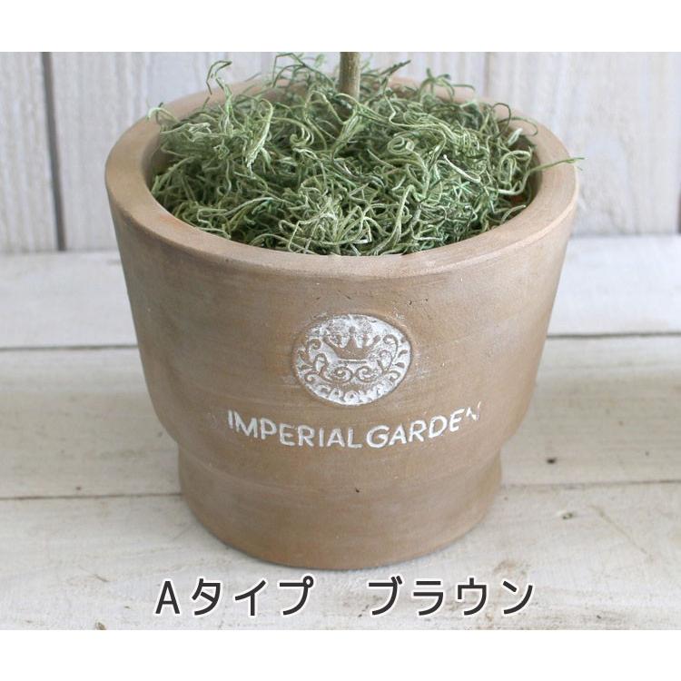 越冬植物等40鉢　まとめて譲渡 [引取限定] flower ＼現品限り売り尽くし／ 姫リンゴ ぷちリンゴ 高さ 約60cm