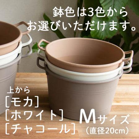 酷暑でも元気に満開／ 2個以上で送料無料／花うるる 寄せ植え