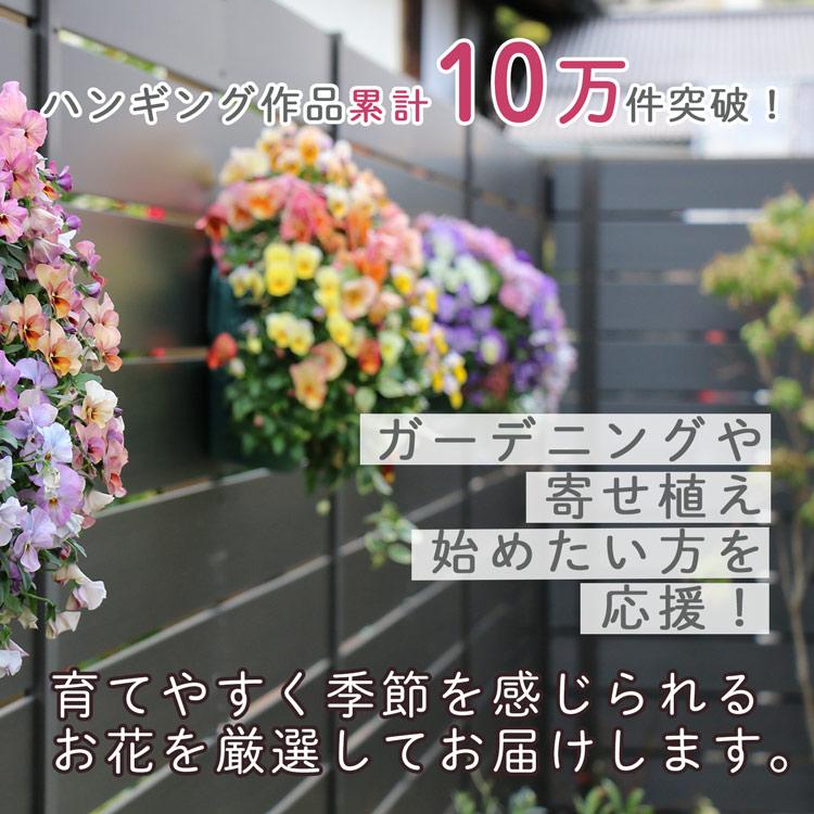 アイビーの壁掛け寄せ植えバスケット」(04-3008) : 花うるる