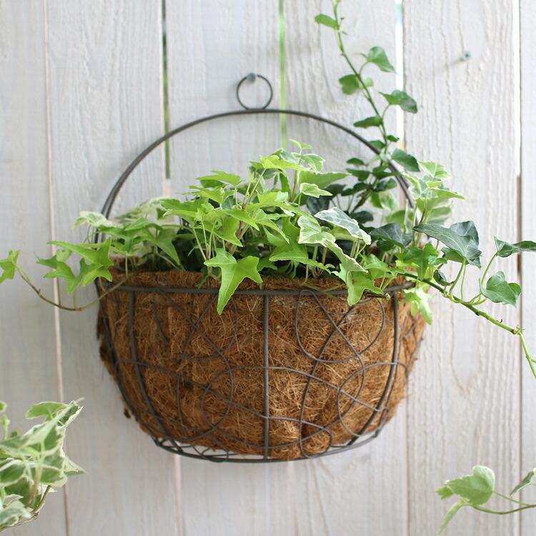 アイビーの壁掛け寄せ植えバスケット」(04-3008) : 花うるる