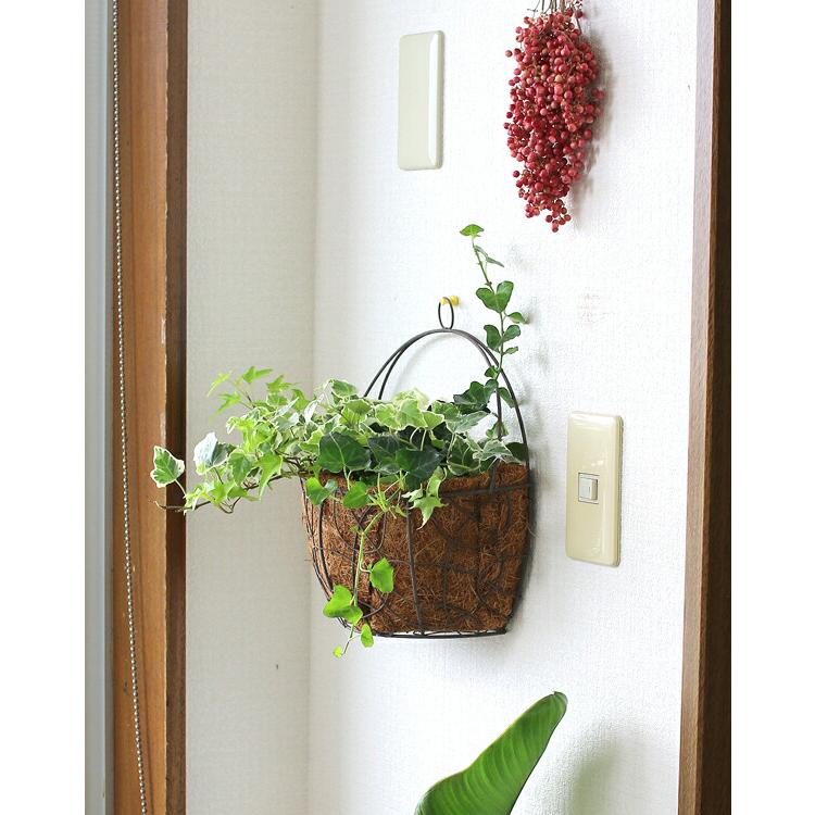 アイビーの壁掛け寄せ植えバスケット」(04-3008) : 花うるる