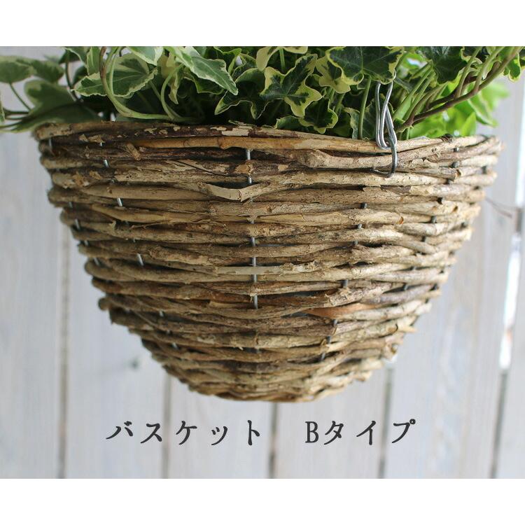 アイビーの吊りカゴ寄せ植え」 : 花うるる(ハンギング&寄せ植え通販