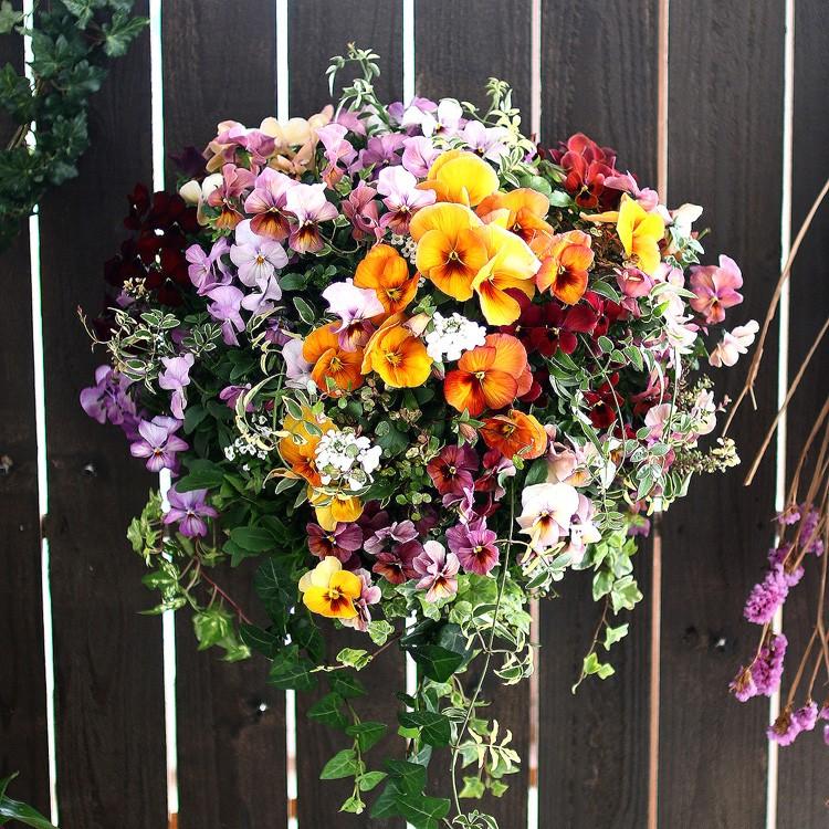 送料無料 Lサイズ 豪華パンジー ビオラのハンギング 寄せ植え ブロンズシェード プレミアムサイズ Hb Bio Sa1 寄せ植え ハンギング ギャザリング Hb Ar Brzshad2020 花うるる ハンギング 寄せ植え通販 通販 Yahoo ショッピング