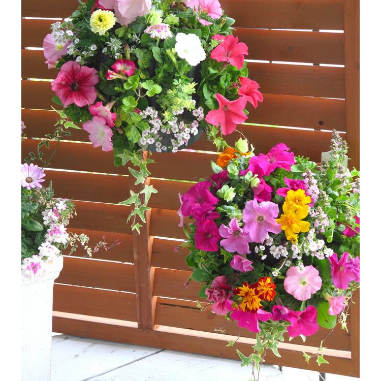 花うるる おまかせハンギング 寄せ植え Mサイズ(4月から11月 花うるる おまかせハンギング 寄せ植え Mサイズ(4月から11月