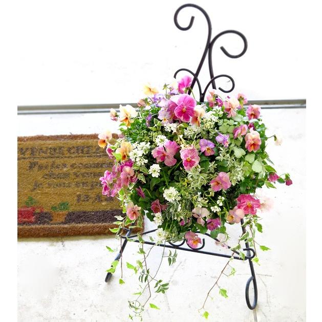 flower *送料無料* 魅惑の大人ピンクが誘う至福の毎日。 店長の極上