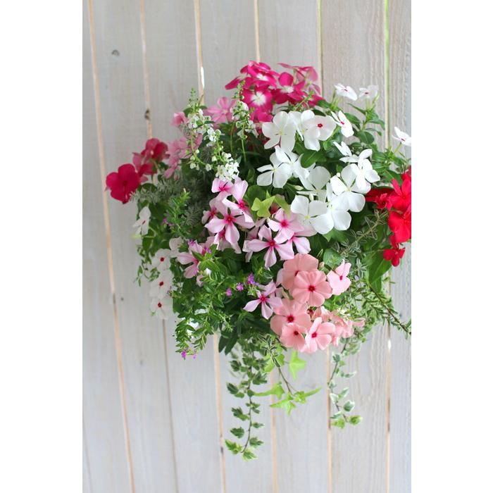 flower 送料無料 ニチニチソウのハンギング フラワー寄せ植え 花うるる