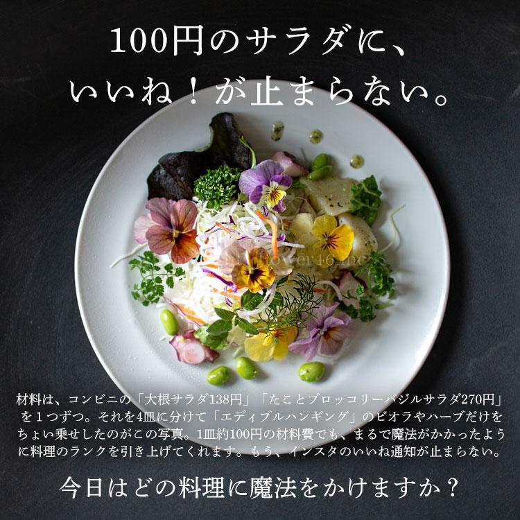 最終売り尽くし／＼食べれる寄せ植え／エディブルフラワー[ビオラと