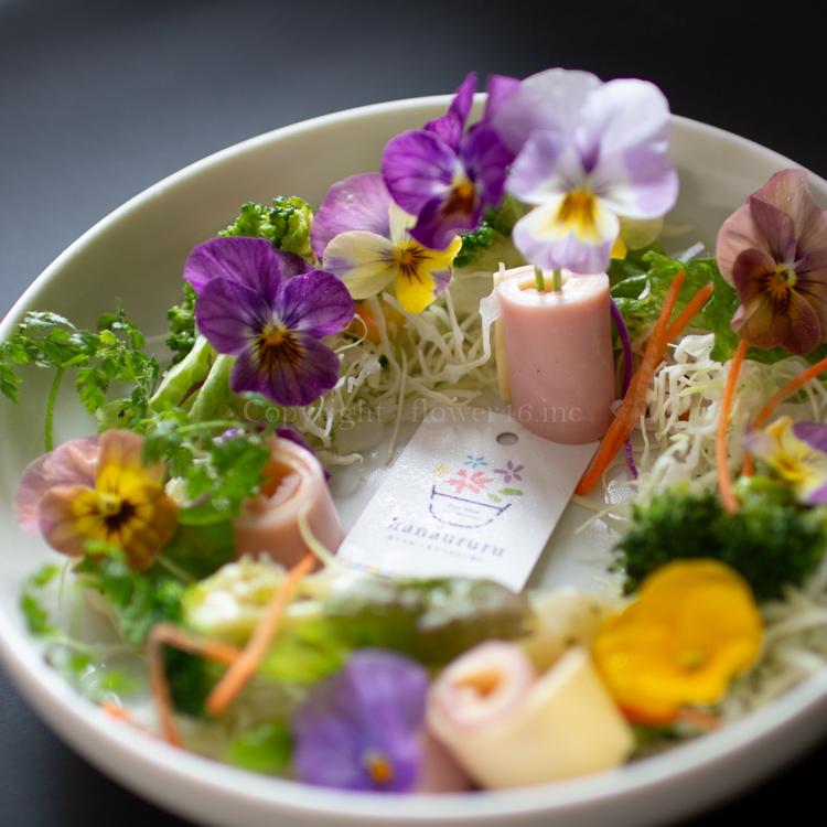 最終売り尽くし／＼食べれる寄せ植え／エディブルフラワー[ビオラと
