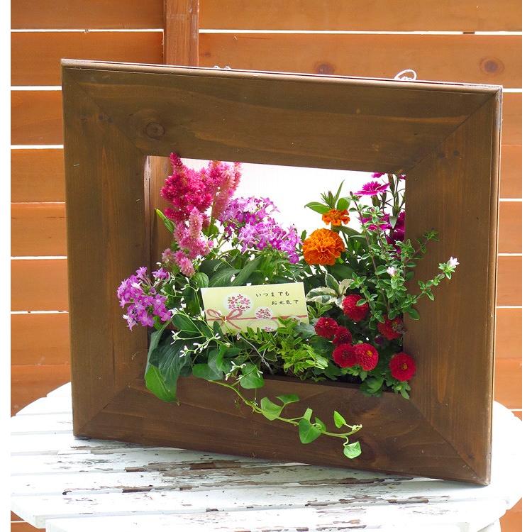 額縁フレームの秋アレンジ寄せ植え 15 ガーデニング 寄せ植え Hb Fram Keiro15 花うるる ハンギング 寄せ植え通販 通販 Yahoo ショッピング