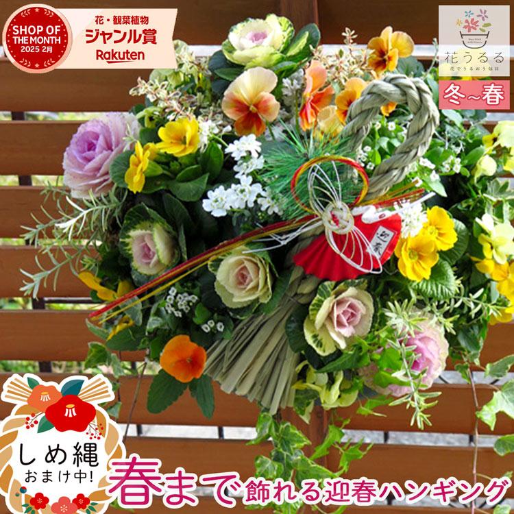 12/28(日)正午まで年内発送受付／正月飾り 葉ボタンのハンギング