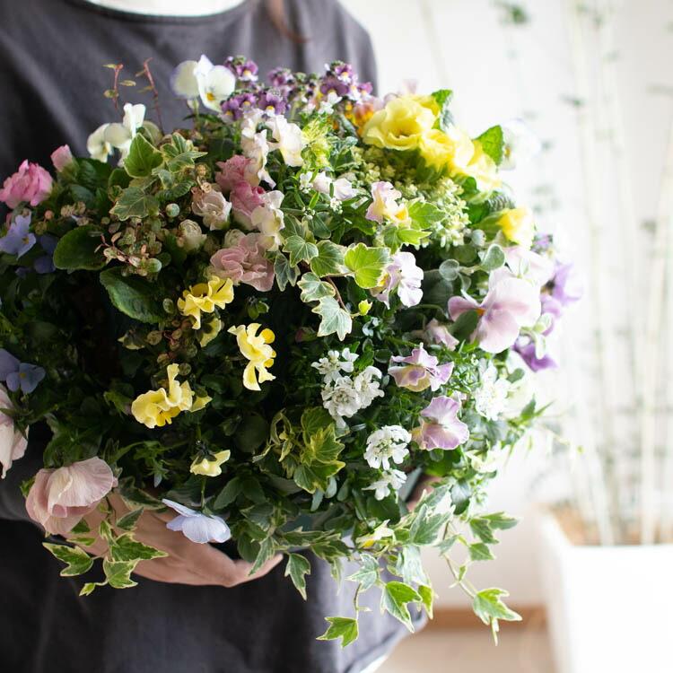売り尽くし／[Lサイズ]豪華 ビオラ ハンギングバスケット 花うるる