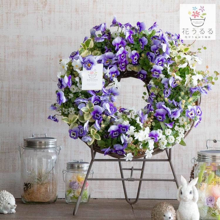 希少 送料無料 成長するフラワーリース ビオラの寄せ植え オーシャン リング ｌサイズ ハンギング 寄せ植え 秋 冬 セット ギフト 花 大流行中 Turningheadskennel Com