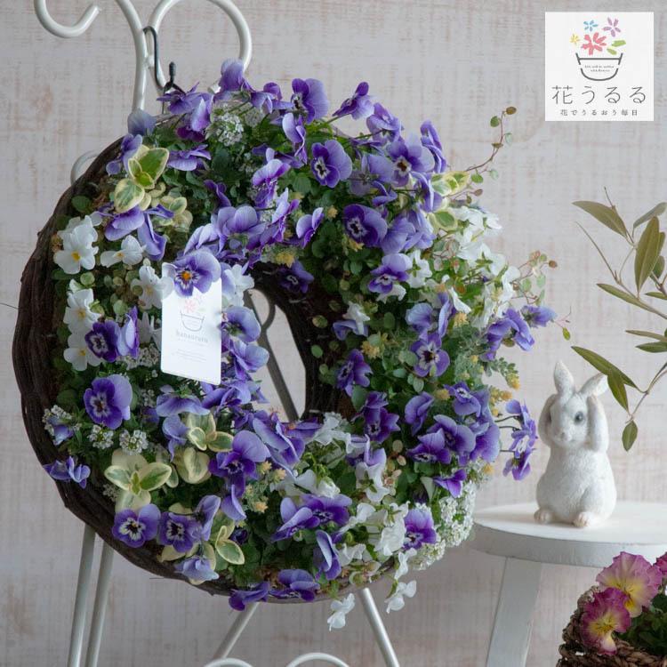 flower [送料無料] 成長するフラワーリース・ビオラの寄せ植え