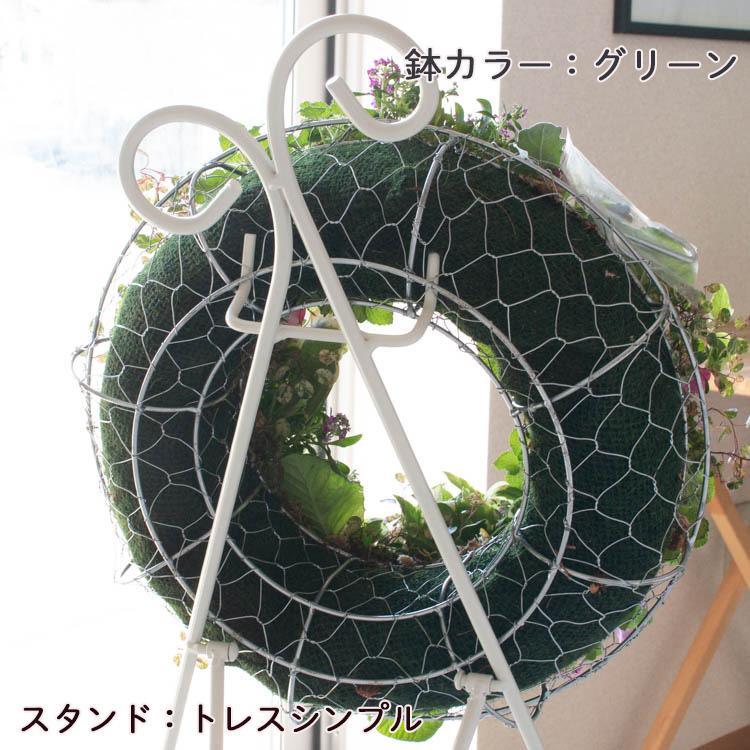 花うるる リース 寄せ植え [アレンジ Lサイズ] おまかせ&オーダーメイド(セット ギフト 花 鉢 寄植え 鉢植え 壁掛け ハンギングバスケット プレゼント｜hanaururu｜11