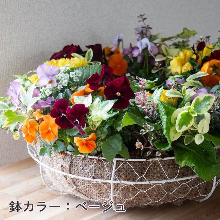 花うるる おまかせ／「季節の寄せ植えinアレンジリースLサイズ」完成品
