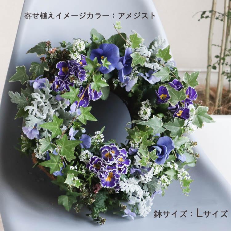 花うるる リース 寄せ植え [アレンジ Lサイズ] おまかせ&オーダーメイド(セット ギフト 花 鉢 寄植え 鉢植え 壁掛け ハンギングバスケット プレゼント｜hanaururu｜06