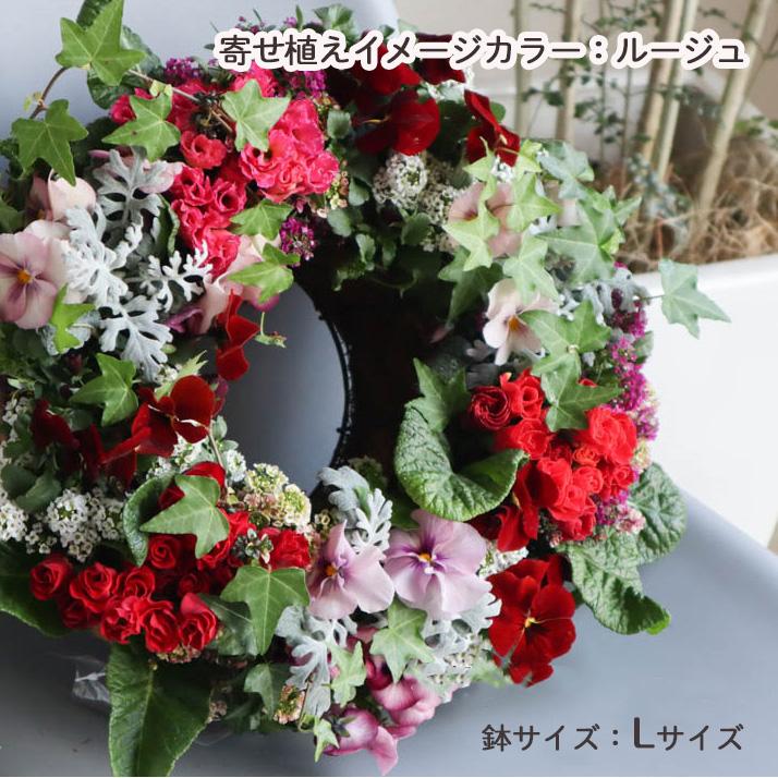 花うるる おまかせ／「季節の寄せ植えinアレンジリースLサイズ」完成品