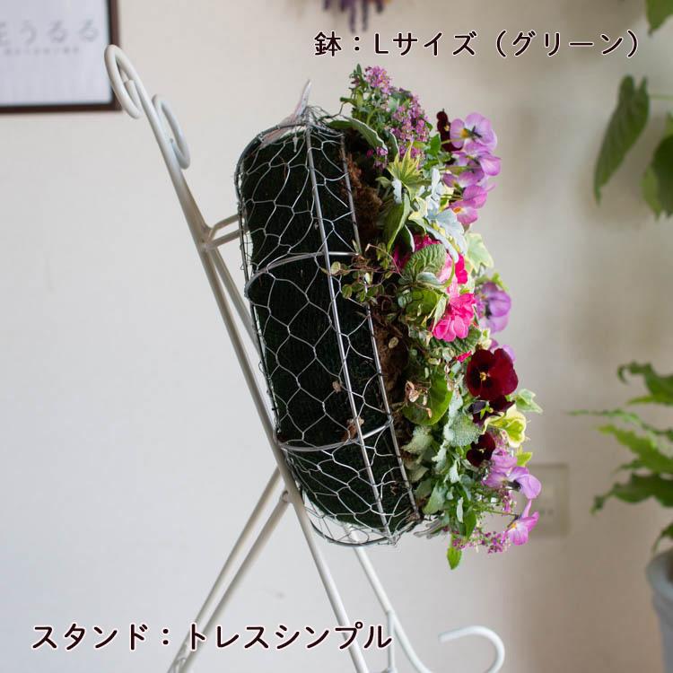 花うるる リース 寄せ植え [アレンジ Lサイズ] おまかせ&オーダー