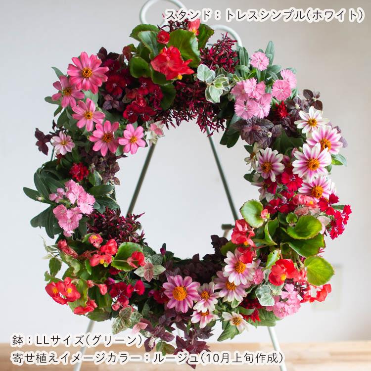 花うるる リース 寄せ植え [アレンジ LLサイズ]おまかせ&オーダー