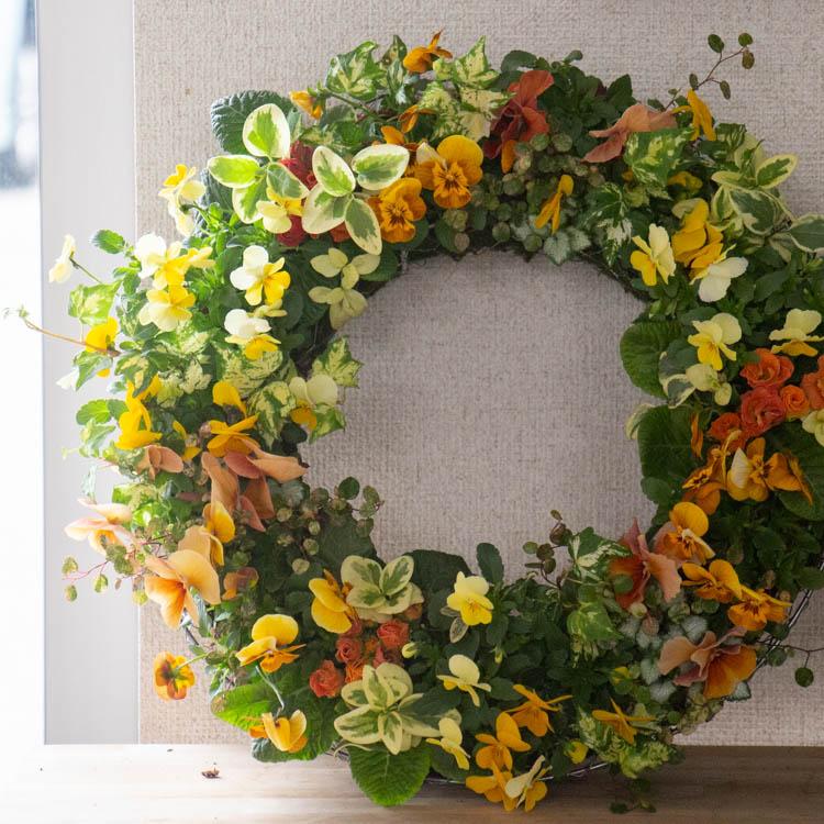 花うるる おまかせ／「季節の寄せ植えinアレンジリースLLサイズ」完成