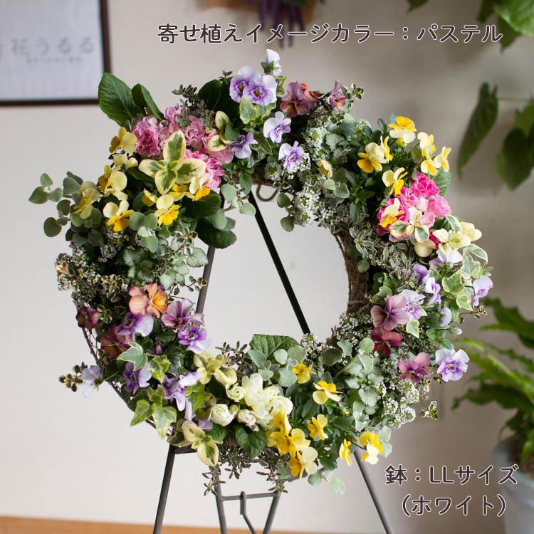 花うるる おまかせ／「季節の寄せ植えinアレンジリースLLサイズ」完成