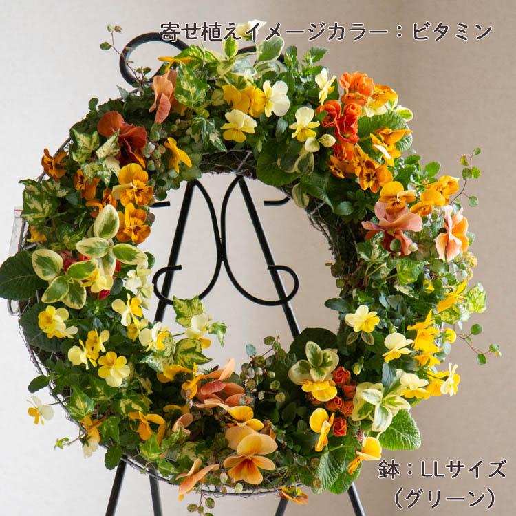 花うるる おまかせ／「季節の寄せ植えinアレンジリースLLサイズ」完成