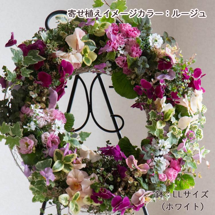 花うるる リース 寄せ植え [アレンジ LLサイズ]おまかせ&オーダー