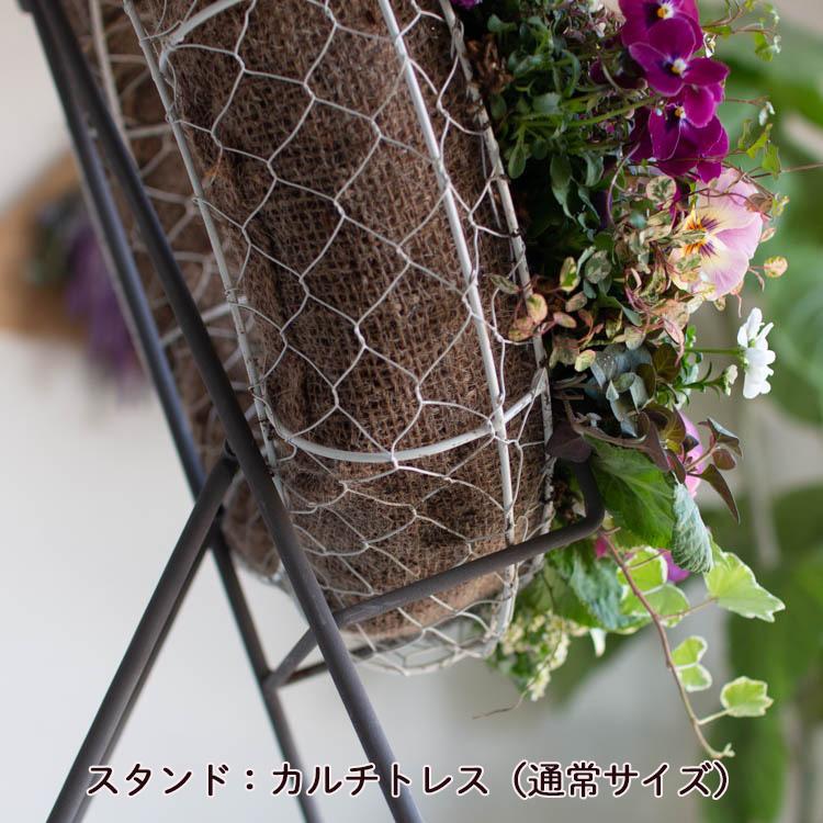 花うるる リース 寄せ植え [アレンジ LLサイズ]おまかせ&オーダーメイド(セット ギフト 花 鉢 寄植え 鉢植え 壁掛け ハンギングバスケット｜hanaururu｜09