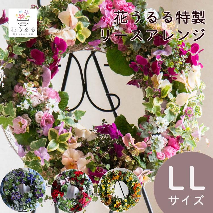 花うるる おまかせ／「季節の寄せ植えinアレンジリースLLサイズ」完成