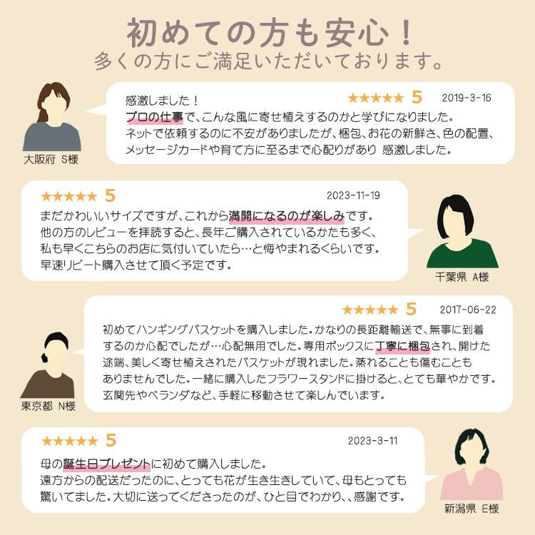 ＼花うるる おまかせ／「季節の寄せ植えinシンプルリースLLサイズ」完成品 春 夏 誕生日 ギフト プレゼント 女性 50代 60代 母 義母 祖母 花 苗 寄せ植え セットの画像