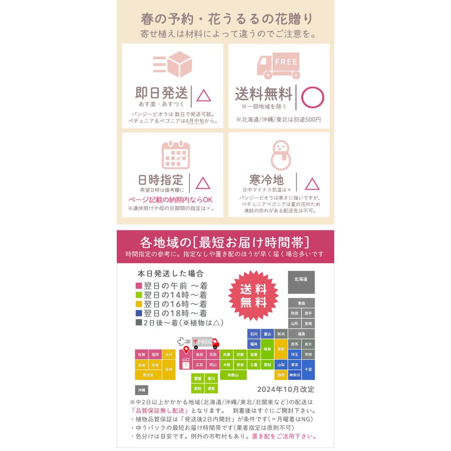 ＼花うるる おまかせ／「季節の寄せ植えinシンプルリースLLサイズ」完成品 春 夏 誕生日 ギフト プレゼント 女性 50代 60代 母 義母 祖母 花 苗 寄せ植え セットの画像