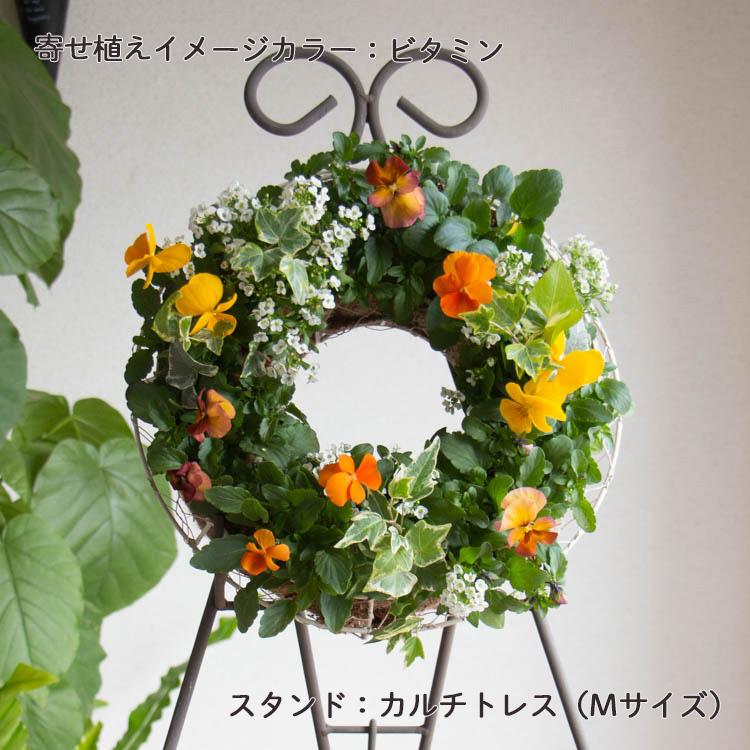 花うるる おまかせ／「季節の寄せ植えinシンプルリースMサイズ」完成品