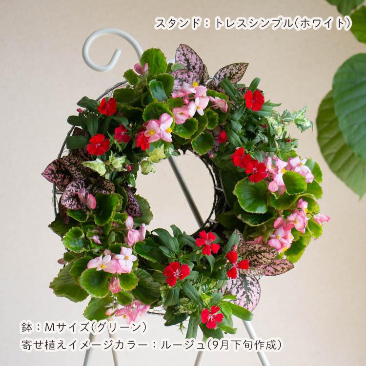 花うるる おまかせ／「季節の寄せ植えinシンプルリースMサイズ」完成品