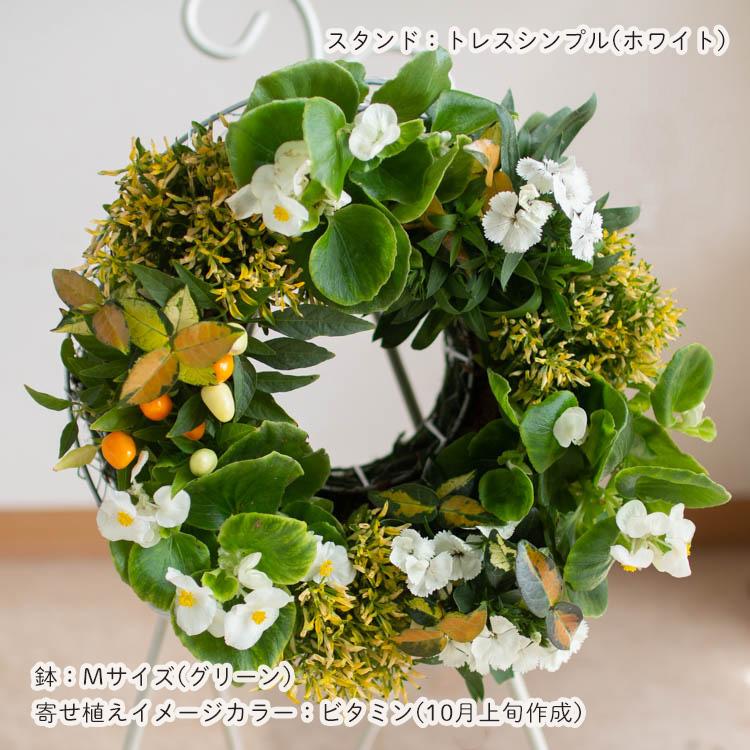 花うるる おまかせ／「季節の寄せ植えinシンプルリースMサイズ」完成品