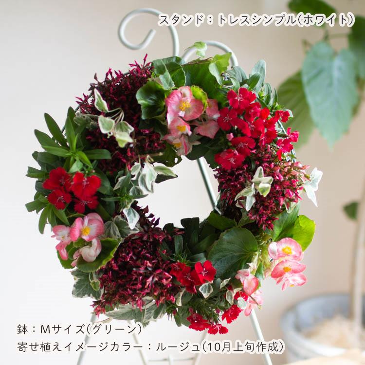 花うるる おまかせ／「季節の寄せ植えinシンプルリースMサイズ」完成品