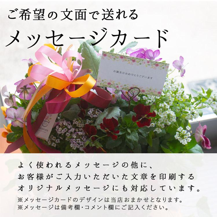 ビオラのハンギングバスケット 花うるる 寄せ植え [ブルーレイン