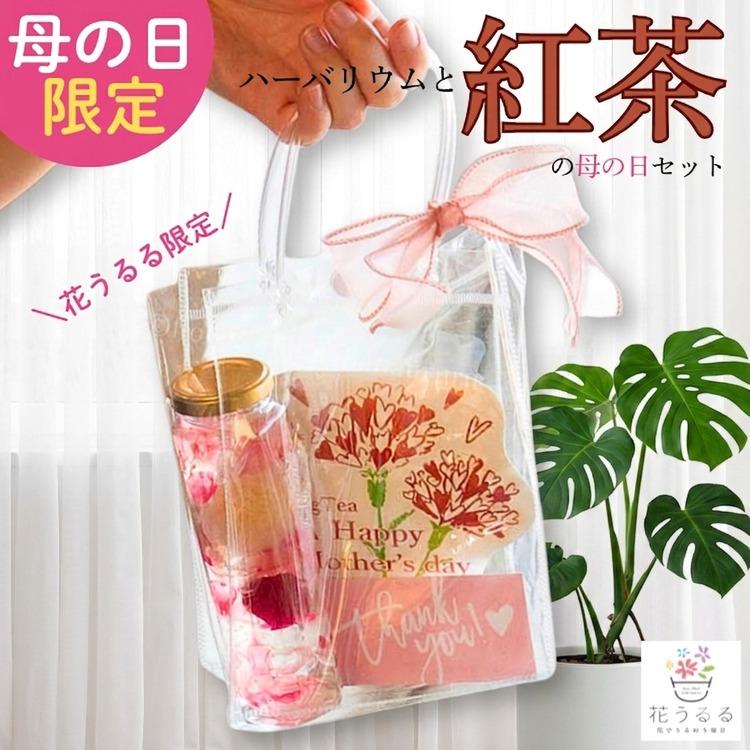 母の日 遅れてごめんね配送／花うるる 『ハーバリウムと紅茶』母 2026