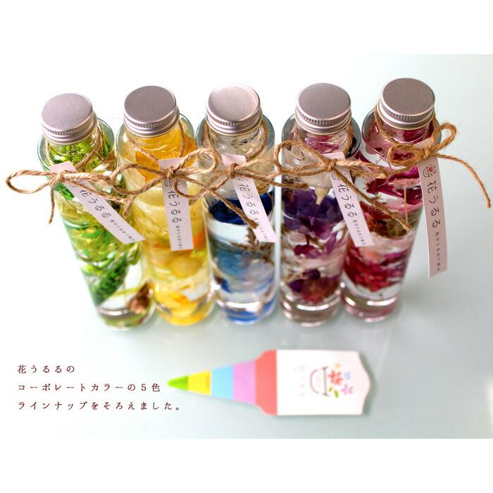母の日 遅れてごめんね配送／ 『高級ギフトボックス入り5本セット』花