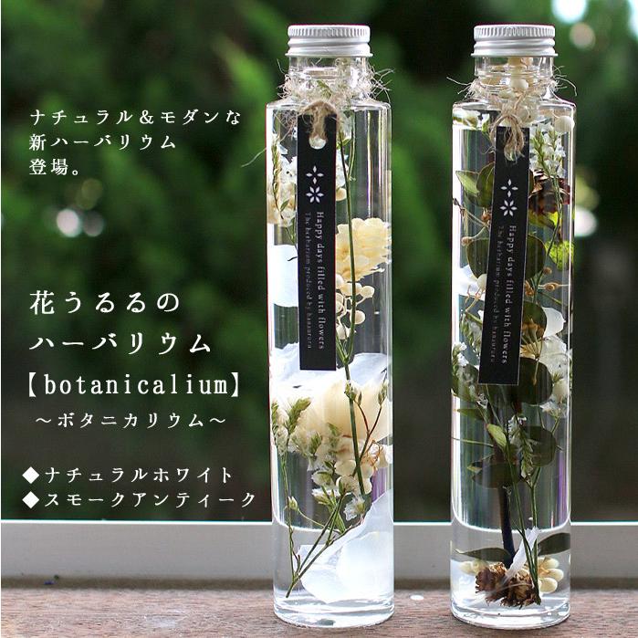 母の日 遅れてごめんね配送／ 『高級ギフトボックス入り5本セット』花