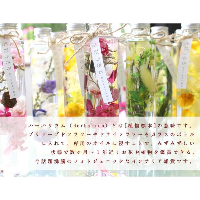 母の日 遅れてごめんね配送／ 『高級ギフトボックス入り5本セット』花