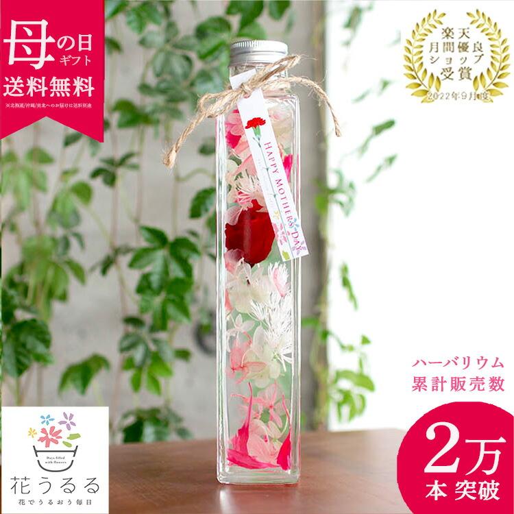 即日発送OK／プレゼントうるる ハーバリウム (カーネーション入 (2024