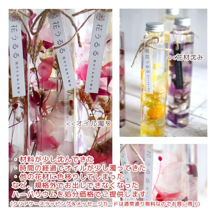 送料無料】＼訳あり！在庫処分／ ハーバリウム メディア掲載 花うるる