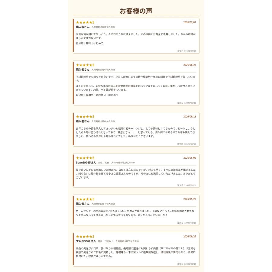 送料無料 サツマイモ 苗 販売『中尾農園さんの芋づる 50本セット（1