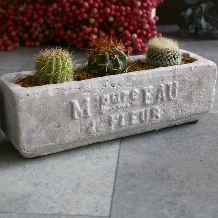 最終処分価格 売り尽くし サボテン オシャレ 寄せ植え 陶器 オシャレ インテリア ミニサボテン 観葉植物 ギフト 鉢 雑貨 おしゃれ オシャレ 多肉植物 Kan Sabo 02 2 花うるる ハンギング 寄せ植え通販 通販 Yahoo ショッピング