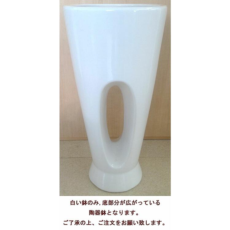 観葉植物 サンスベリア7号穴高陶器鉢 高さ約100cm サンセベリア