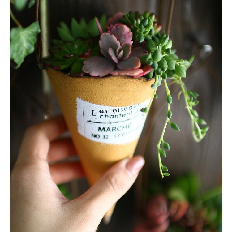 ☆売り尽くしSALE！30%OFF☆多肉植物 寄せ植え おしゃれ [ ハンギング