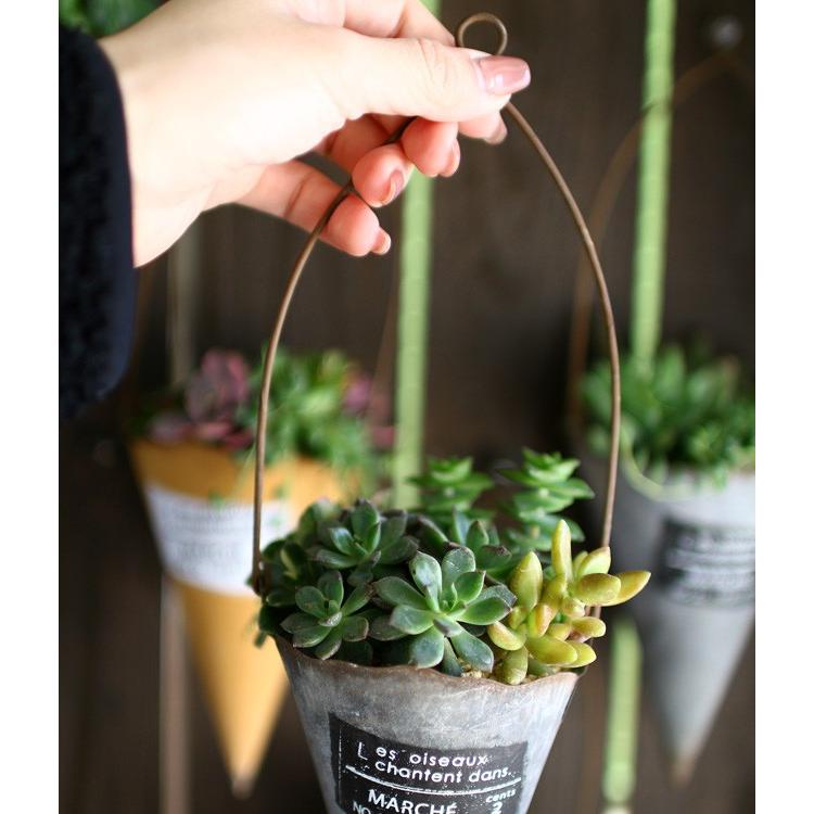 ☆売り尽くしSALE！30%OFF☆多肉植物 寄せ植え おしゃれ [ ハンギング