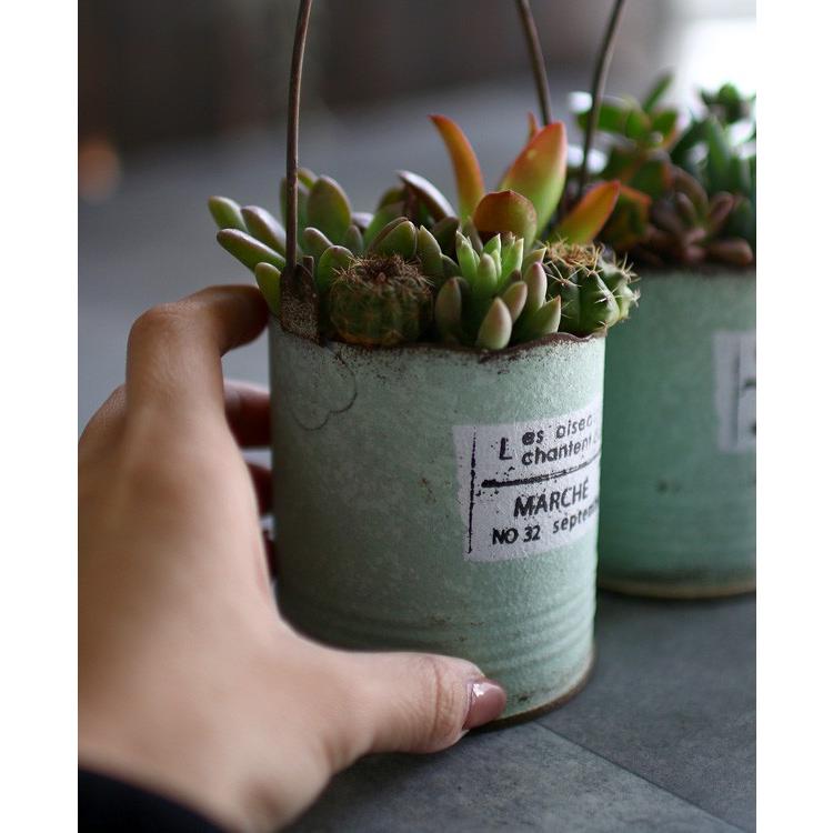 最終処分価格 売り尽くし 多肉植物 寄せ植え おしゃれ 空き缶型 ブリキ サボテン 観葉植物 ギフト 鉢 インテリア おしゃれ ハオルチア セダム エケベリア Kan Taniburi 02 2 花うるる ハンギング 寄せ植え通販 通販 Yahoo ショッピング