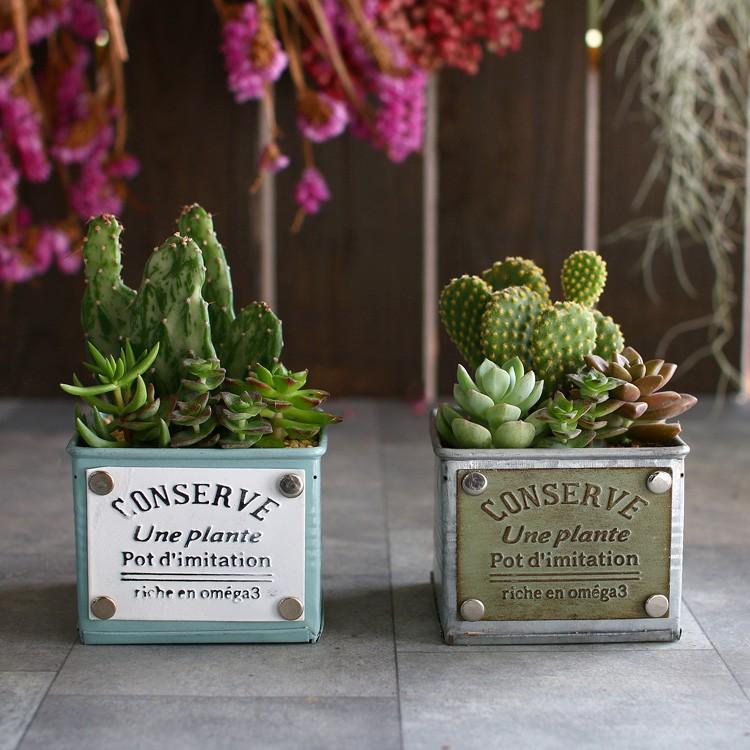 ☆売り尽くしSALE！30%OFF☆多肉植物 寄せ植え おしゃれ [ ブリキ 