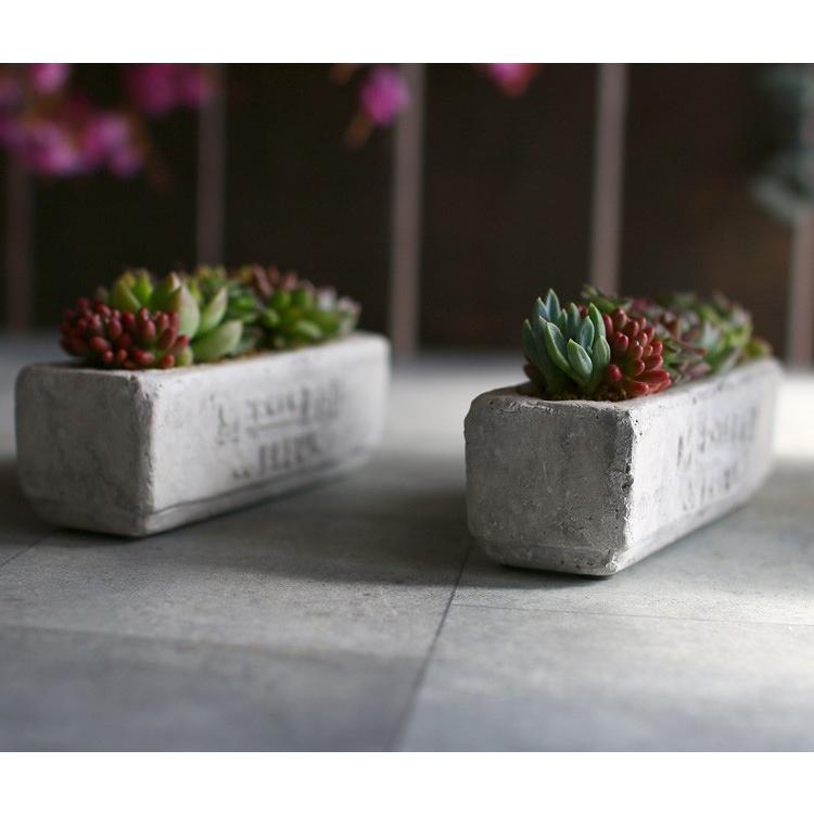 多肉植物・サボテン・エケベリア・ハオルチア等　３０個セット　格安販売 ☆売り尽くしSALE！30%OFF☆多肉植物 寄せ植え おしゃれ [陶器] 観葉